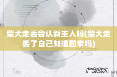 柴犬走丢了自己知道回家吗 柴犬走丢会认新主人吗