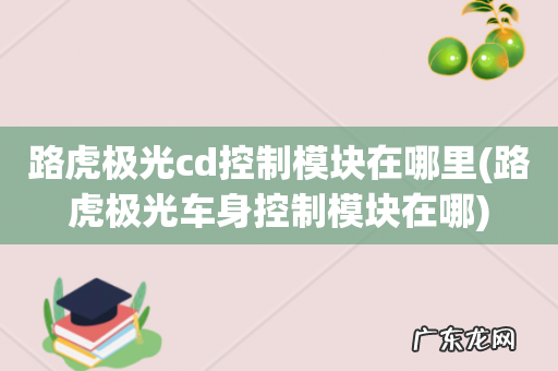 路虎极光车身控制模块在哪 路虎极光cd控制模块在哪里
