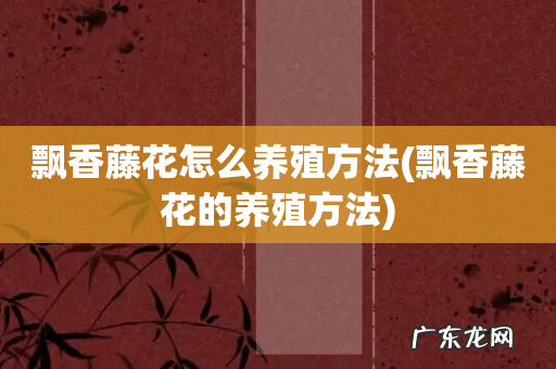 飘香藤花的养殖方法 飘香藤花怎么养殖方法