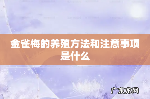 金雀梅的养殖方法和注意事项是什么