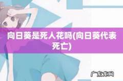 向日葵代表死亡 向日葵是死人花吗