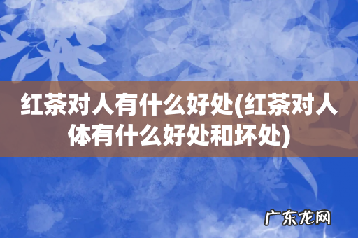 红茶对人体有什么好处和坏处 红茶对人有什么好处