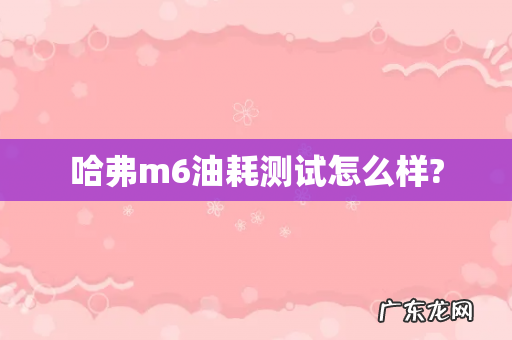 哈弗m6油耗测试怎么样?