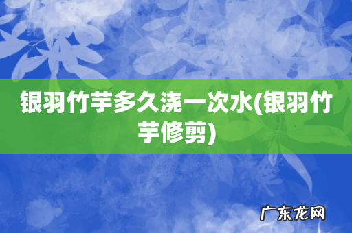 银羽竹芋修剪 银羽竹芋多久浇一次水