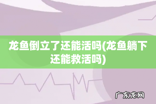 龙鱼躺下还能救活吗 龙鱼倒立了还能活吗