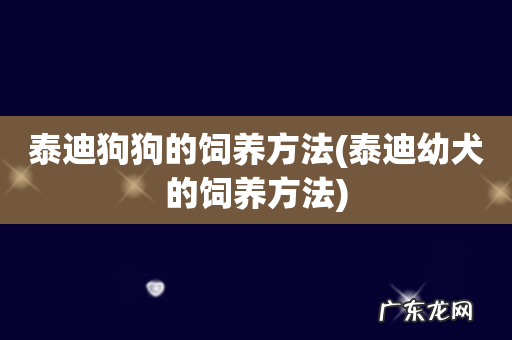 泰迪幼犬的饲养方法 泰迪狗狗的饲养方法