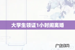 大学生领证1小时闹离婚