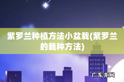 紫罗兰的栽种方法 紫罗兰种植方法小盆栽