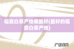 最好的福鼎白茶产地 福鼎白茶产地哪最好