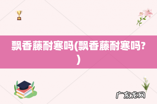 飘香藤耐寒吗? 飘香藤耐寒吗