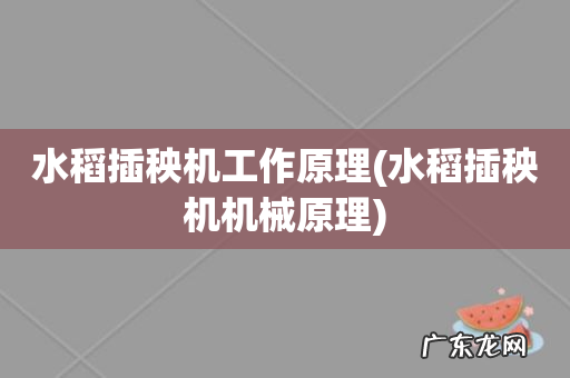 水稻插秧机机械原理 水稻插秧机工作原理