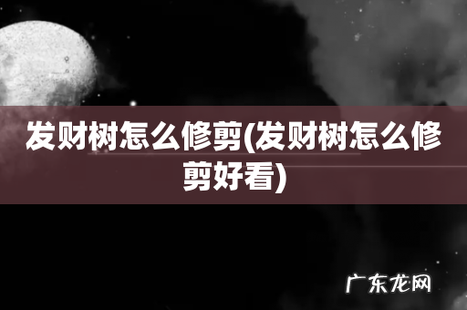 发财树怎么修剪好看 发财树怎么修剪