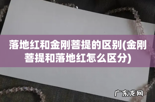 金刚菩提和落地红怎么区分 落地红和金刚菩提的区别