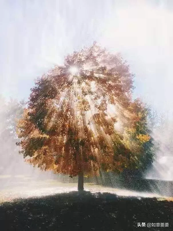 怎么才能教育出一个自信的孩子？