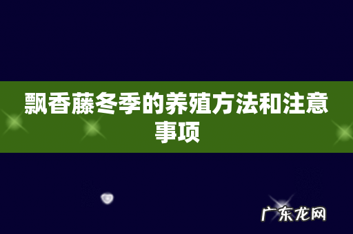 飘香藤冬季的养殖方法和注意事项