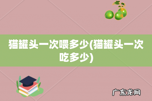 猫罐头一次吃多少 猫罐头一次喂多少