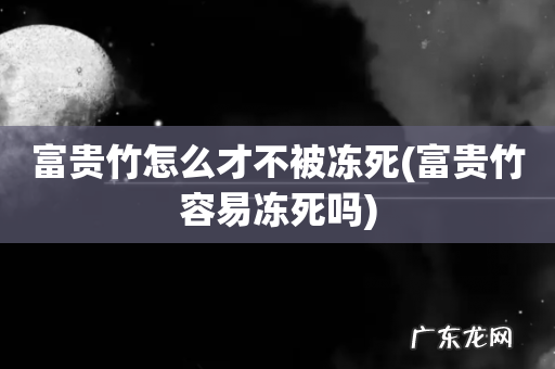 富贵竹容易冻死吗 富贵竹怎么才不被冻死