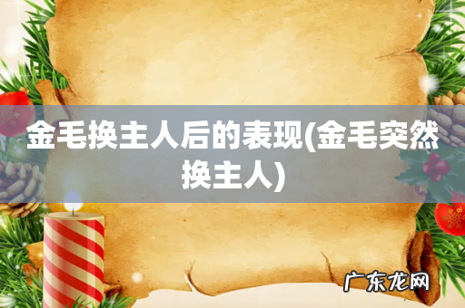金毛突然换主人 金毛换主人后的表现