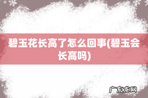 碧玉会长高吗 碧玉花长高了怎么回事