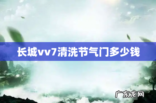 长城vv7清洗节气门多少钱