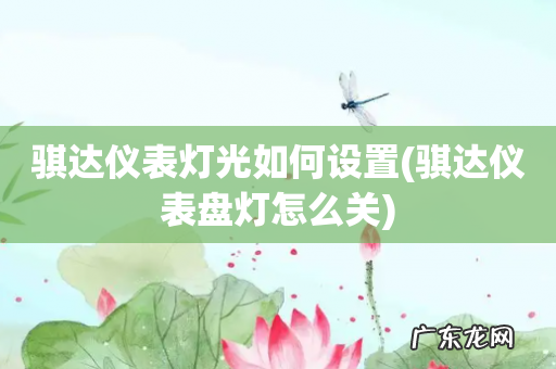 骐达仪表盘灯怎么关 骐达仪表灯光如何设置