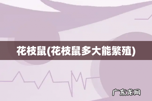 花枝鼠多大能繁殖 花枝鼠