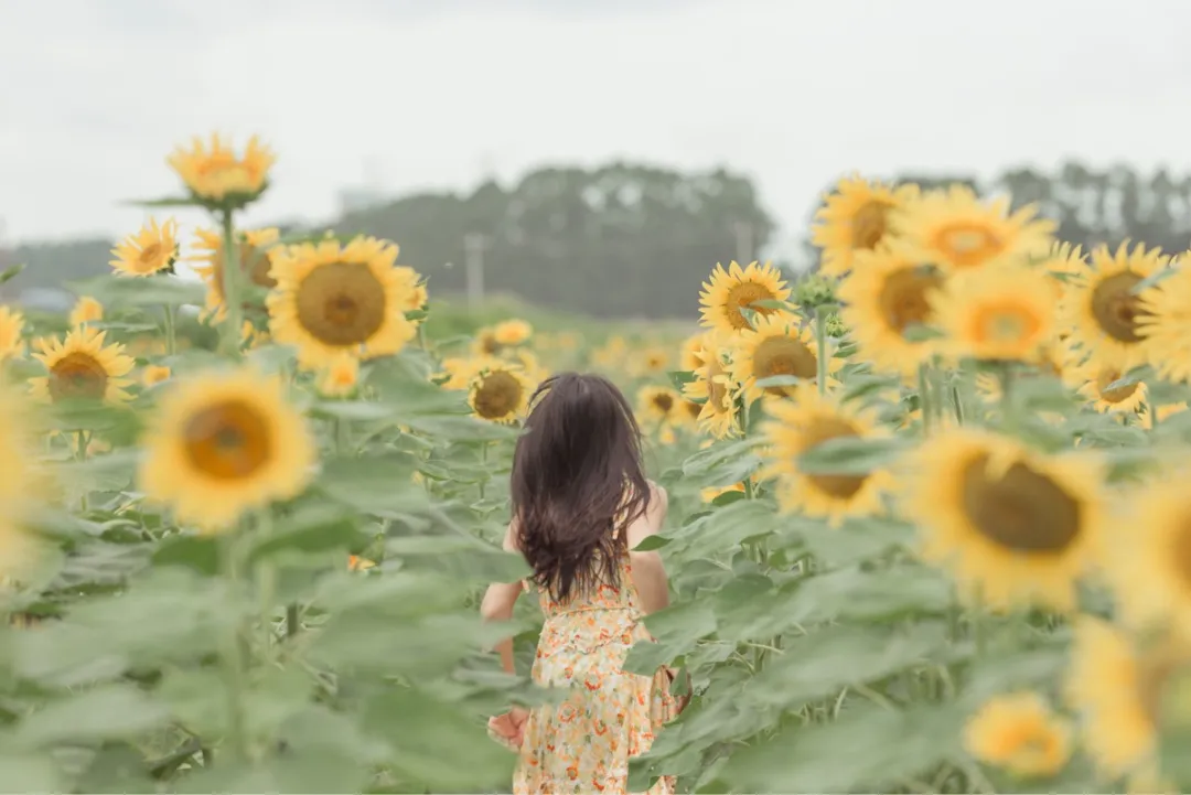 比风水有用100倍的定律 风水12个社会定律