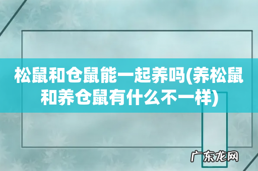 养松鼠和养仓鼠有什么不一样 松鼠和仓鼠能一起养吗