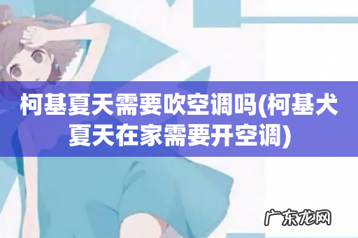 柯基犬夏天在家需要开空调 柯基夏天需要吹空调吗