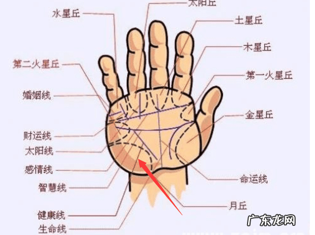 古代桃花运的由来 桃花运的风水说法