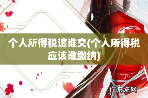 个人所得税应该谁缴纳 个人所得税该谁交