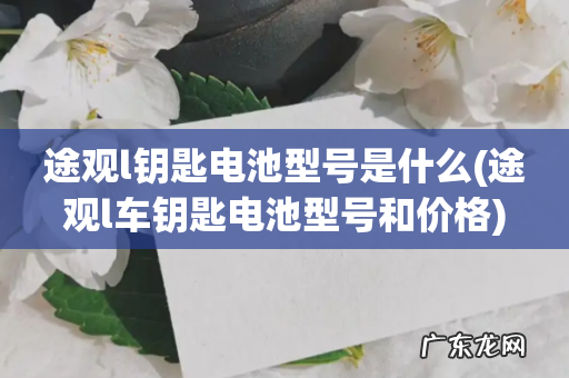 途观l车钥匙电池型号和价格 途观l钥匙电池型号是什么