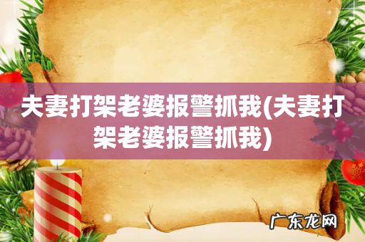 夫妻打架老婆报警抓我 夫妻打架老婆报警抓我