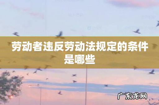 劳动者违反劳动法规定的条件是哪些