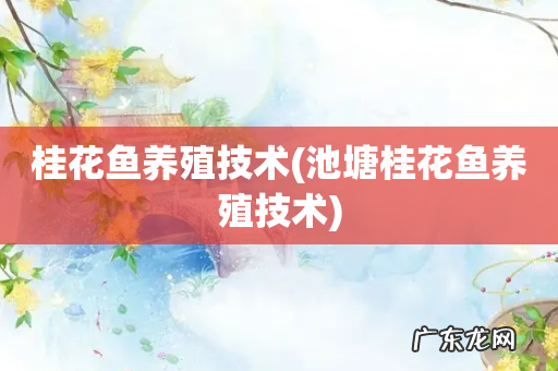 池塘桂花鱼养殖技术 桂花鱼养殖技术