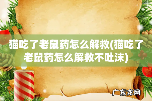 猫吃了老鼠药怎么解救不吐沫 猫吃了老鼠药怎么解救