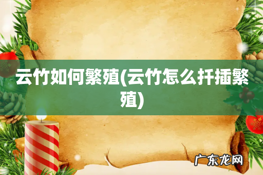 云竹怎么扦插繁殖 云竹如何繁殖