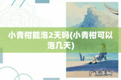 小青柑可以泡几天 小青柑能泡2天吗