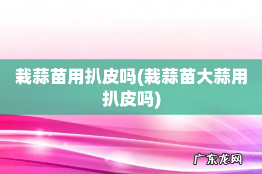 栽蒜苗大蒜用扒皮吗 栽蒜苗用扒皮吗