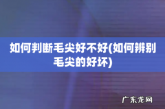 如何辨别毛尖的好坏 如何判断毛尖好不好
