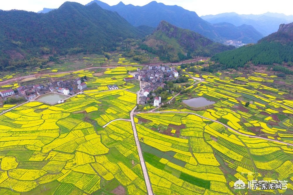 春季,上海周边哪里有看花的地方,求推荐?