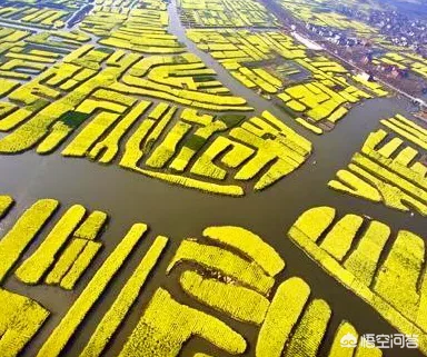 春季，上海周边哪里有看花的地方，求推荐？