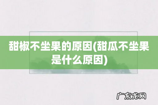 甜瓜不坐果是什么原因 甜椒不坐果的原因