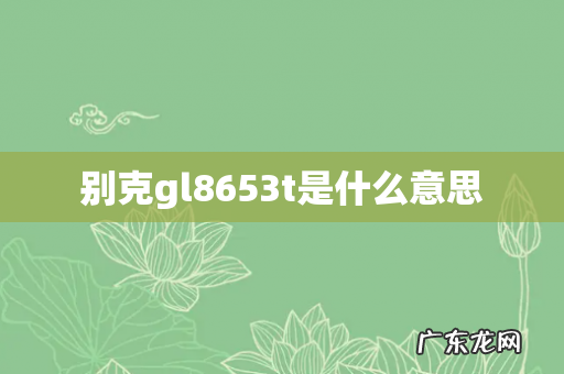 别克gl8653t是什么意思