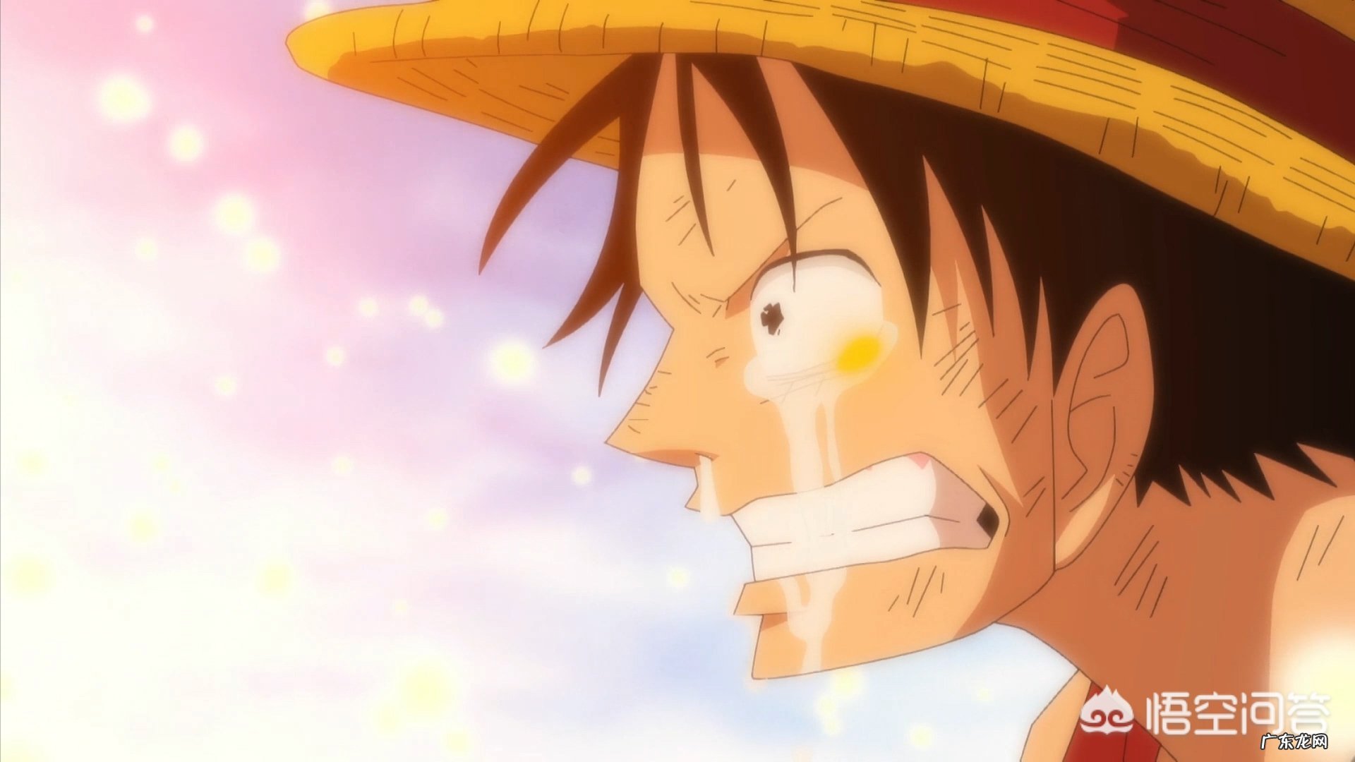 海贼王有哪些经典片段？