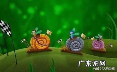 牵一只蜗牛去散步 --感悟?