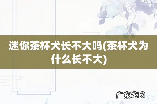 茶杯犬为什么长不大 迷你茶杯犬长不大吗