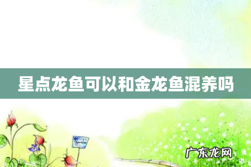 星点龙鱼可以和金龙鱼混养吗