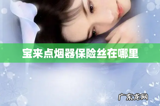 宝来点烟器保险丝在哪里