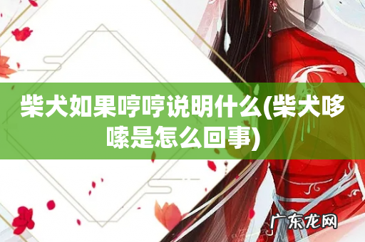 柴犬哆嗦是怎么回事 柴犬如果哼哼说明什么